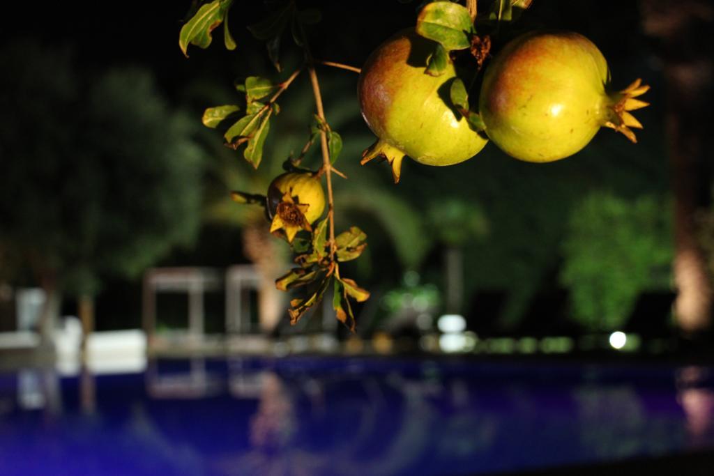 Hotel Terranobile Metaresort Bari Zewnętrze zdjęcie